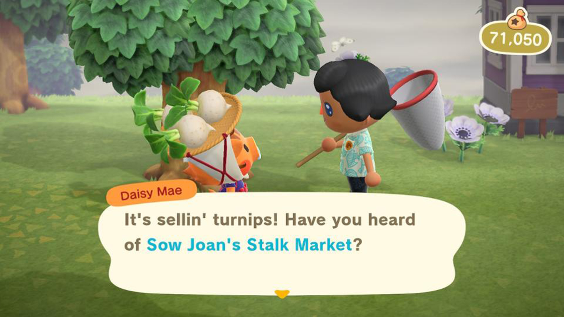 How to Earn Bells Fast in Animal Crossing New Horizons GameQik